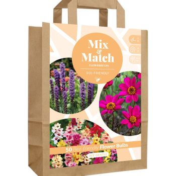 Mix & Match - Bee Gentle - pakovanje 50 lukovica