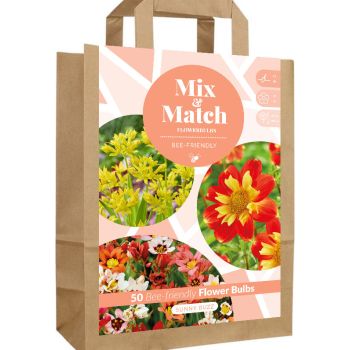 Mix & Match - Sunny Buzz - pakovanje 50 lukovica