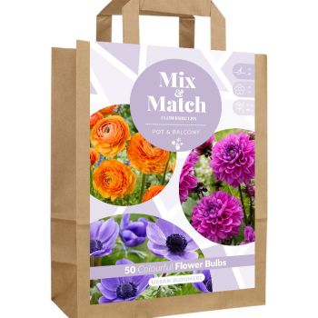 Mix & Match - Urban Bloomers - pakovanje 50 lukovica