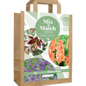 Mix & Match - Pastel Poise - pakovanje 50 lukovica