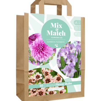 Mix & Match - Soft Symphony - pakovanje 50 lukovica