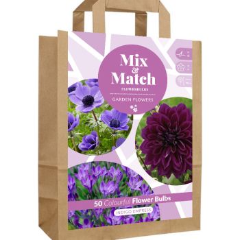 Mix & Match - Indigo Empress - pakovanje 50 lukovica