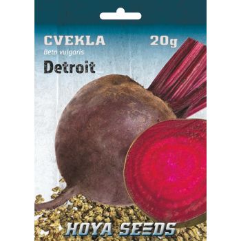 Cvekla Detroit - Beta vulgaris
