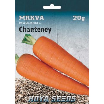 Mrkva Chantenay - Daucus carota 