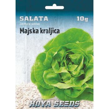 Salata majska kraljica - Lactuca sativa