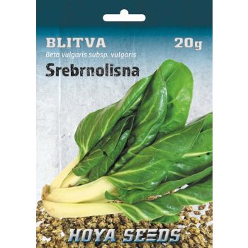 Blitva - Beta vulgaris subsp. Vulgaris