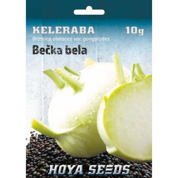 Keleraba Bečka bela - Brassica oleracea var. Gongylodes