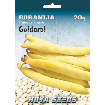 Boranija Goldoral - Phaseolus vulgaris