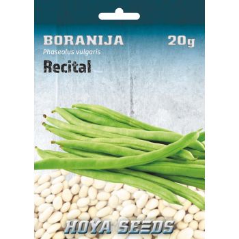 Boranija Recital - Phaseolus vulgaris