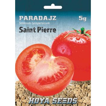 Paradajz Saint Pierre - Solanum lycopersicum