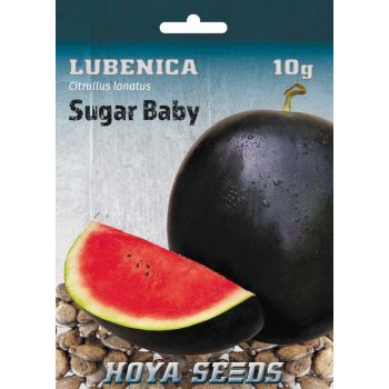 Lubenica Sugar baby - Citrulls lanatus
