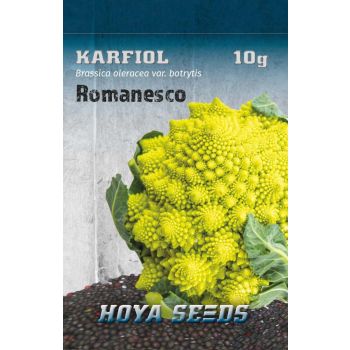 Karfiol Romanesco - Brassica oleracea var. botrytis
