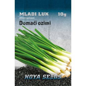 Luk mladi Domaći Ozimi - Allium sativum