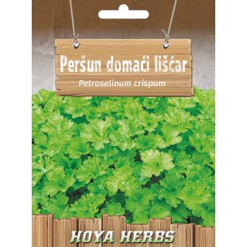 Peršun domaći lišćar - Petroselinum crispum
