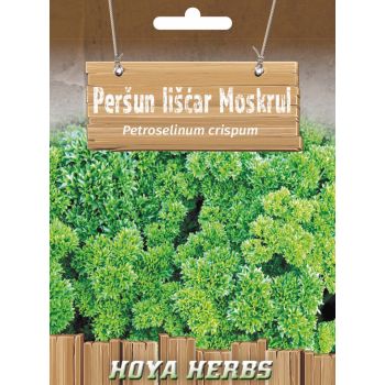 Peršun lišćar Moskrul - Petroselinum crispum