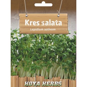 Kres salata - Lepidium sativum